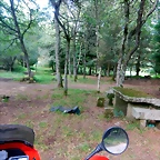 DSCN6350