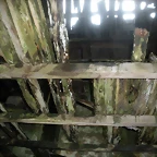 DSCN8432