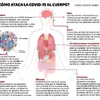 cuerpo-covid-web