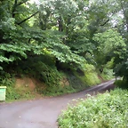 DSCN4768