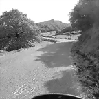 72-IMG_1450