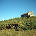 DSCN6884