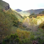 DSCN6033
