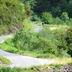 42-IMG_6963