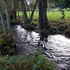 DSCN0565