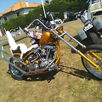 IMG_20220702_115603_434