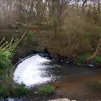 DSCN1764