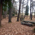 DSCN9373