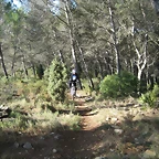 Imagen 006