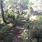 Imagen 011