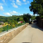 DSCN6371