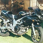 Dan5 (450 x 299)