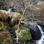 DSCN9667