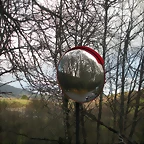 DSCN2850
