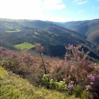 DSCN8971