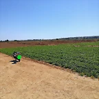 IMG_20210627_140510