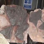 44