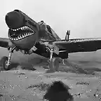 P-40 en el Norte de Africa
