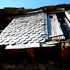 DSCN3926