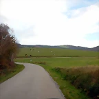 DSCN0622