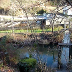 DSCN5771