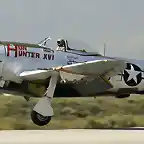 Hun Hunter P-47 Thunderbolt