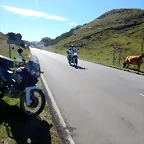 DSCN6334
