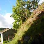 DSCN0483