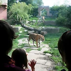 Zoo Hannover 18-06-11 1533