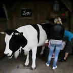 Zoo Hannover 18-06-11 1778