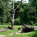 Zoo Hannover 18-06-11 837