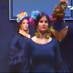 Pasarela 12-2-2015 (31)