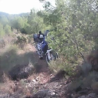 sendas olocau 012