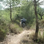 sendas olocau 011
