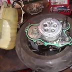 DSCN3542