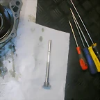 DSCN3595