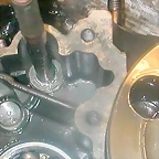 DSCN3591