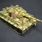 TIGER 14