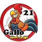 gallo