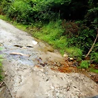 DSCN5863