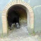 DSCN3760'7