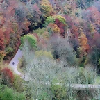 DSCN2820'2
