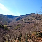 DSCN3706