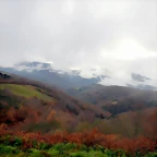 DSCN1961