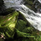 DSCN2806