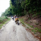 DSCN5390