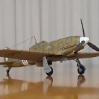 Folgore C-L01