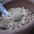 SAM_1131