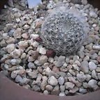 SAM_1132