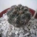 SAM_1127